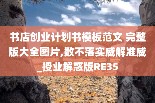 书店创业计划书模板范文 完整版大全图片,数不落实威解准威_授业解惑版RE35