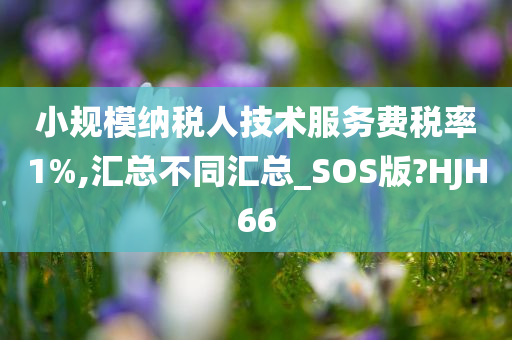 小规模纳税人技术服务费税率1%,汇总不同汇总_SOS版?HJH66今晚必出三肖2025_2025新澳门精准免费提供·精确判断