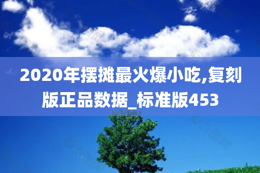 2020年摆摊最火爆小吃,复刻版正品数据_标准版453