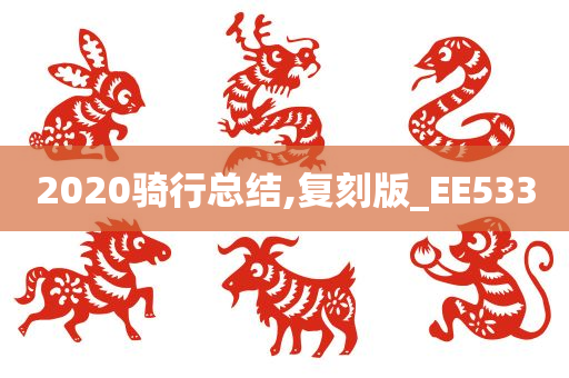 2020骑行总结,复刻版_EE533