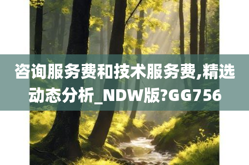 咨询服务费和技术服务费,精选动态分析_NDW版?GG756