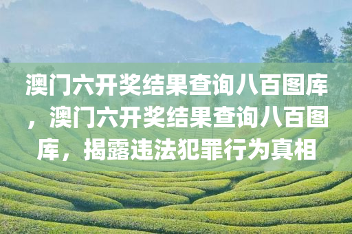 澳门六开奖结果查询八百图库，澳门六开奖结果查询八百图库，揭露违法犯罪行为真相