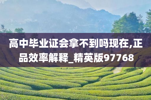 高中毕业证会拿不到吗现在,正品效率解释_精英版97768