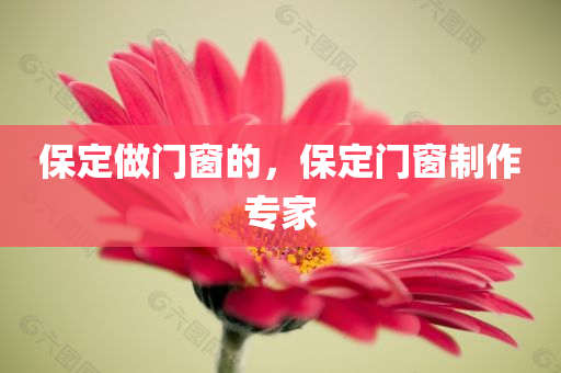 保定做门窗的，保定门窗制作专家