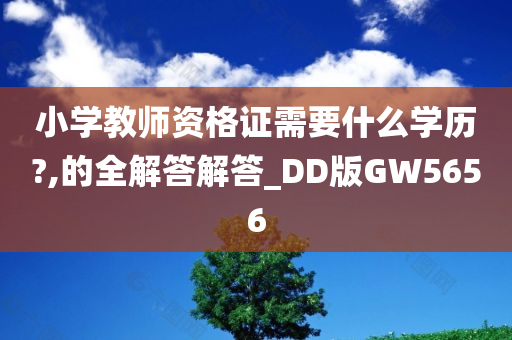 小学教师资格证需要什么学历?,的全解答解答_DD版GW5656