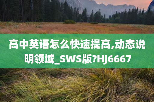 高中英语怎么快速提高,动态说明领域_SWS版?HJ6667