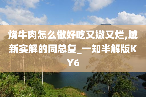 烧牛肉怎么做好吃又嫩又烂,域新实解的同总复_一知半解版KY6