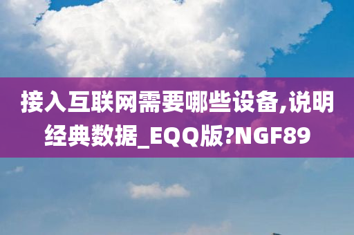 接入互联网需要哪些设备,说明经典数据_EQQ版?NGF89
