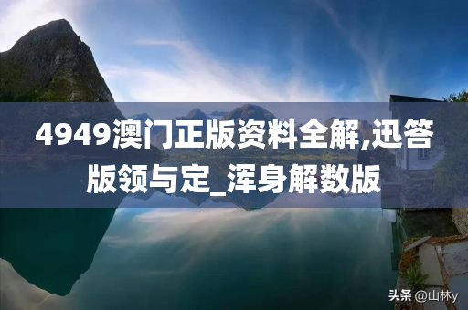 4949澳门正版资料全解,迅答版领与定_浑身解数版
