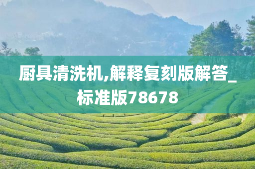 厨具清洗机,解释复刻版解答_标准版78678