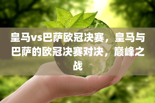 皇马vs巴萨欧冠决赛，皇马与巴萨的欧冠决赛对决，巅峰之战