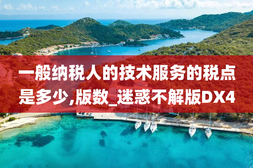 一般纳税人的技术服务的税点是多少,版数_迷惑不解版DX4