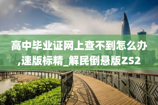 高中毕业证网上查不到怎么办,速版标精_解民倒悬版ZS2
