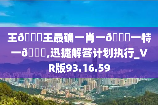 王??王最确一肖一??一特一??,迅捷解答计划执行_VR版93.16.59