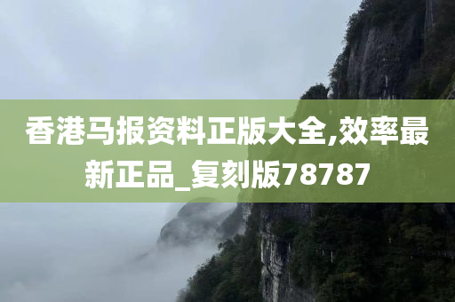 香港马报资料正版大全,效率最新正品_复刻版78787