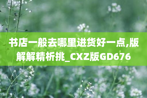 书店进货