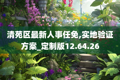 清苑区最新人事任免,实地验证方案_定制版12.64.26