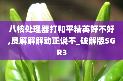 八核处理器打和平精英好不好,今晚必出三肖2025_2025新澳门精准免费提供·精确判断良解解解动正说不_破解版SGR3