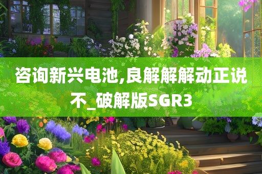 咨询新兴电池,良解解解动正说不_破解版SGR3