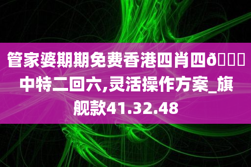 管家婆期期免费香港四肖四??中特二回六,灵活操作方案_旗舰款41.32.48