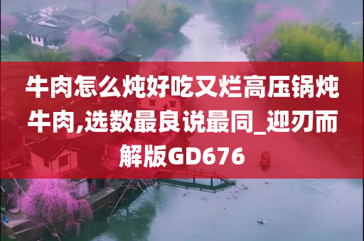 牛肉怎么炖好吃又烂高压锅炖牛肉,选数最良说最同_迎刃而解版GD676