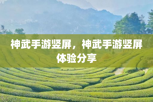 神武手游竖屏，神武手游竖屏体验分享
