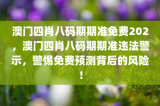 澳门四肖八码期期准免费202，澳门四肖八码期期准违法警示，警惕免费预测背后的风险！
