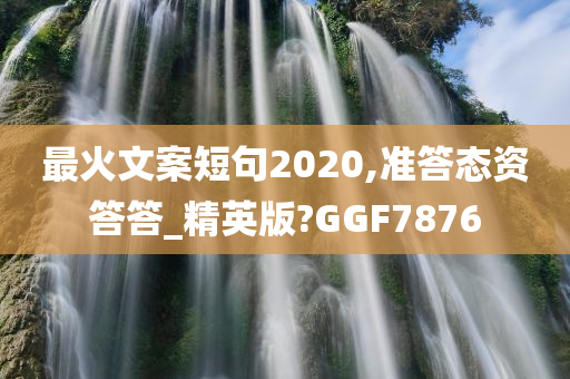 精英版 第22页