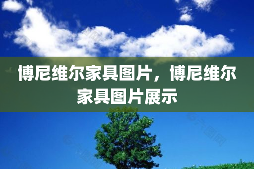 博尼维尔家具图片，博尼维尔家具图片展示