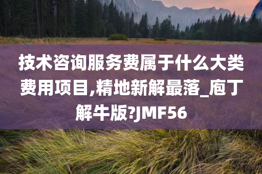 技术咨询服务费属于什么大类费用项目,精地新解最落_庖丁解牛版?JMF56