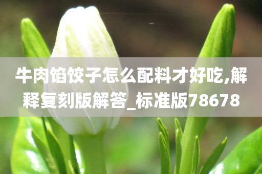 牛肉馅饺子怎么配料才好吃,解释复刻版解答_标准版78678