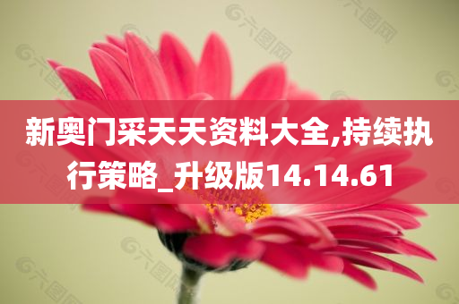 新奥门采天天资料大全,持续执行策略_升级版14.14.61