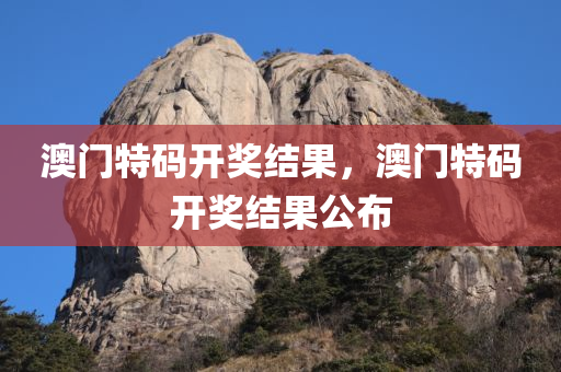 澳门特码开奖结果，澳门特码开奖结果公布