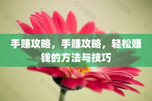 手赚攻略，手赚攻略，轻松赚钱的方法与技巧