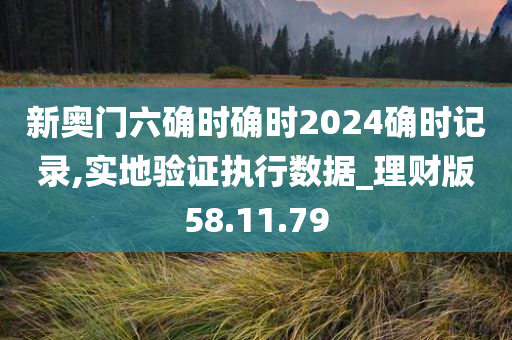 新奥门六确时确时2024确时记录,实地验证执行数据_理财版58.11.79