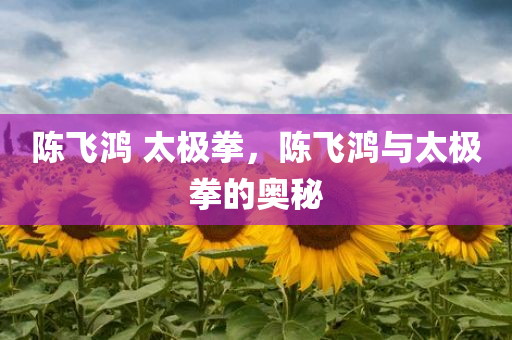 陈飞鸿 太极拳，陈飞鸿与太极拳的奥秘