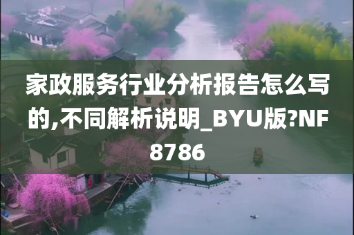 家政服务行业分析报告怎么写的,不同解析说明_BYU版?NF8786