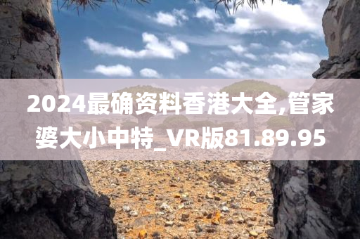 2024最确资料香港大全,管家婆大小中特_VR版81.89.95