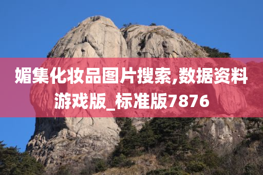 媚集化妆品图片搜索,数据资料游戏版_标准版7876