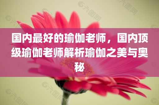 国内最好的瑜伽老师，国内顶级瑜伽老师解析瑜伽之美与奥秘