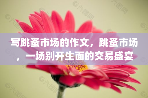 写跳蚤市场的作文，跳蚤市场，一场别开生面的交易盛宴