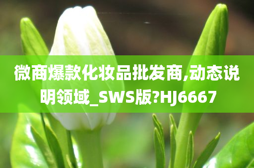 微商爆款化妆品批发商,动态说明领域_SWS版?HJ6667