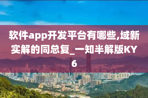 软件app开发平台有哪些,域新实解的同总复_一知半解版KY6
