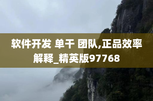 软件开发 单干 团队,正品效率解释_精英版97768