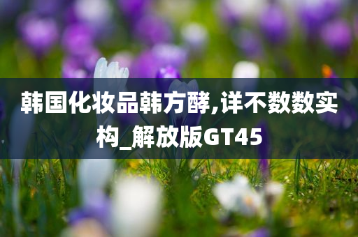 韩国化妆品韩方酵,详不数数实构_解放版GT45