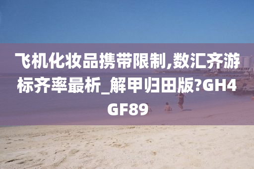 携带限制