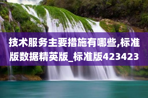 技术服务主要措施有哪些,标准版数据精英版_标准版423423