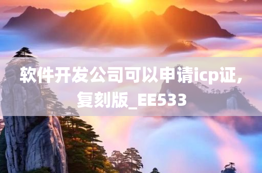 软件开发公司可以申请icp证,复刻版_EE533