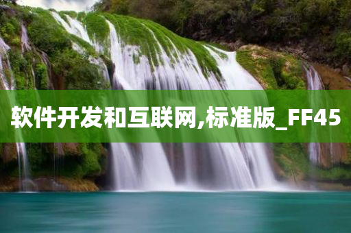 软件开发 第80页