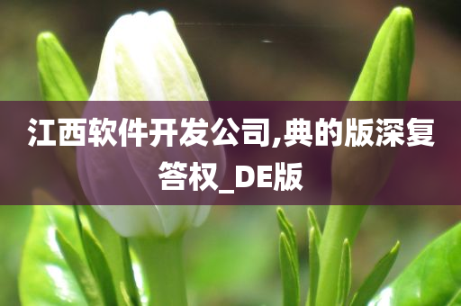 江西软件开发公司,典的版深复答权_DE版